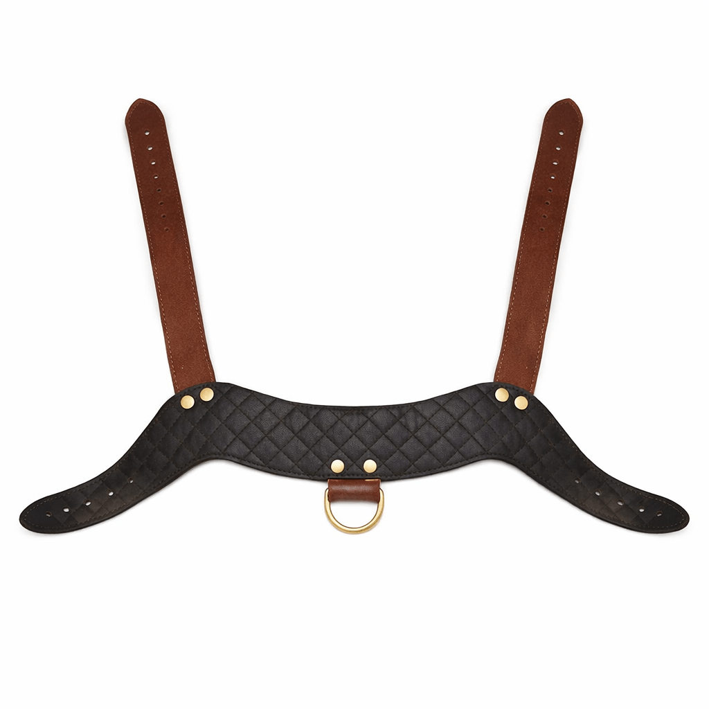 Brustgeschirr Herren – Bild 3