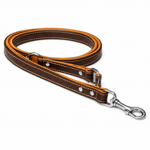 Hundeleine Leder