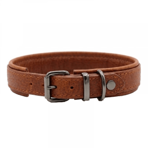 Lederhalsband Hund